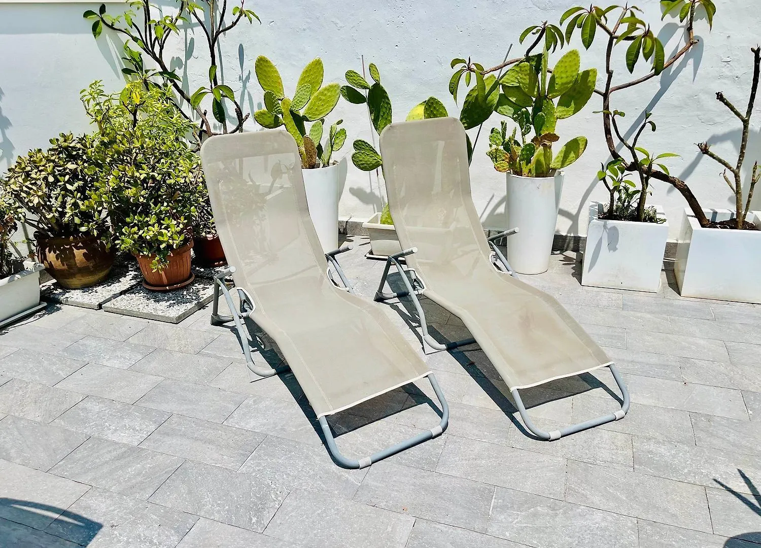 בית הארחה מלון פלרמו Gagini House & Terrace